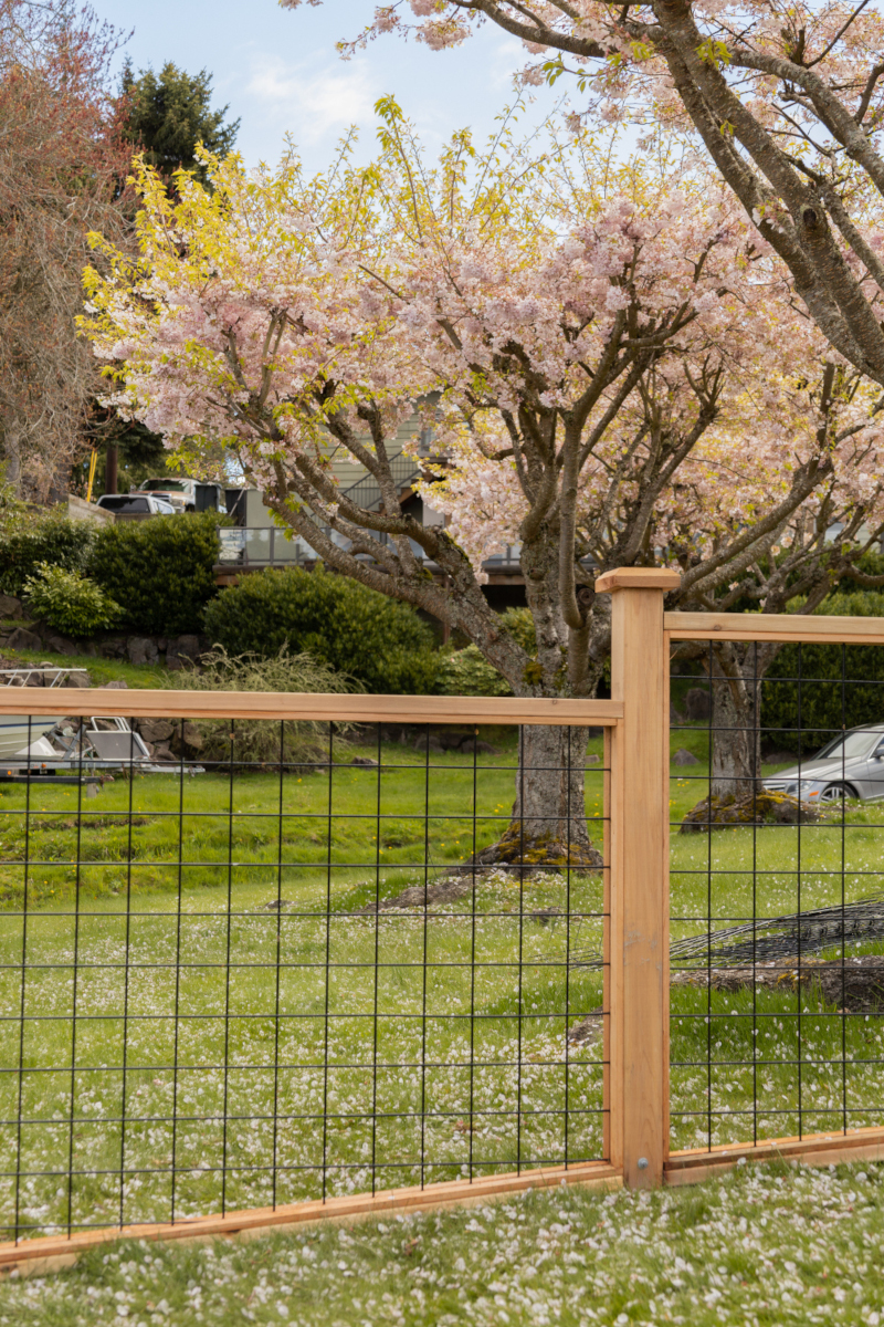 Secure and Stylish Pet Friendly Fence in Everett